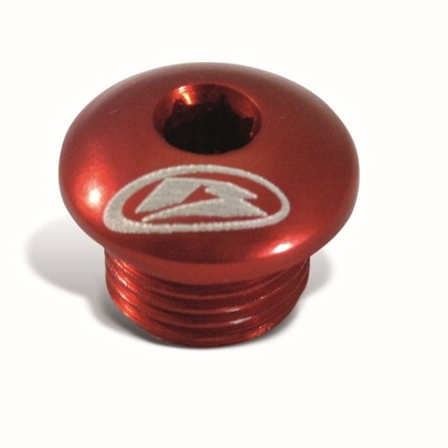 Engine oil plug BETA