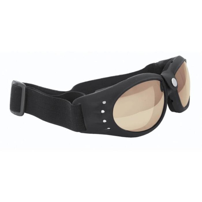 Protective glasses HELD