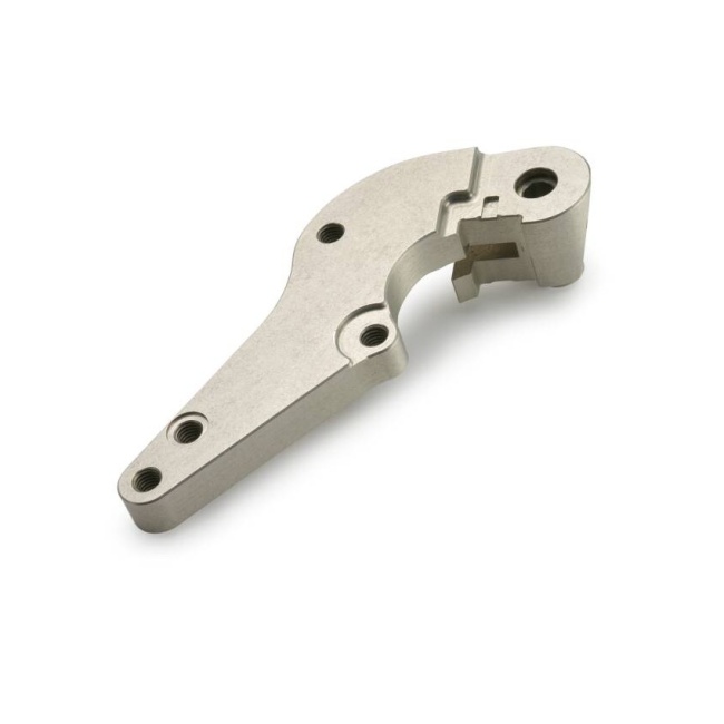 Brake caliper support