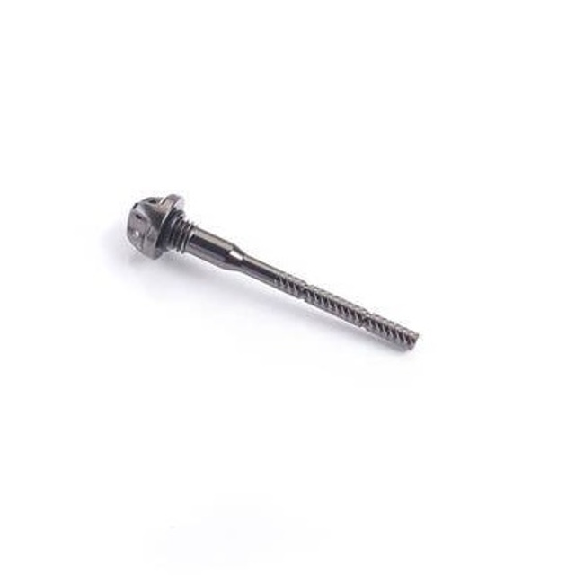 Oil Dipstick Grey TRIUMPH