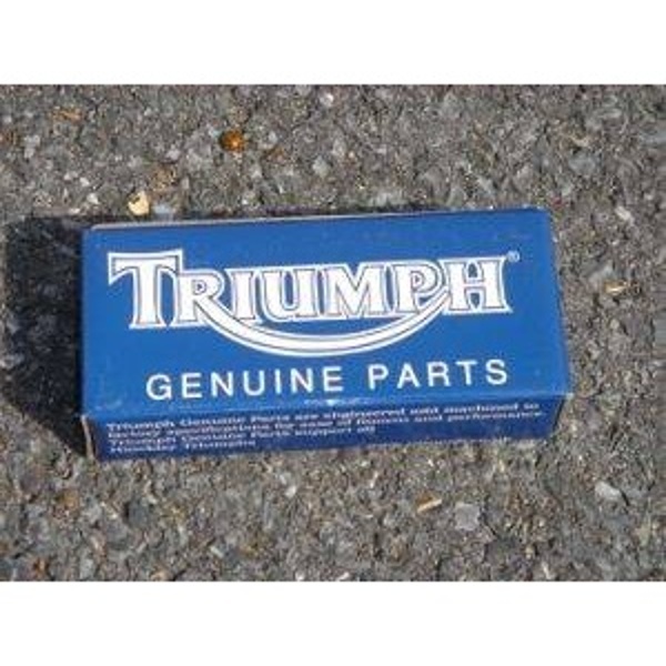 Brzdové doštičky Triumph