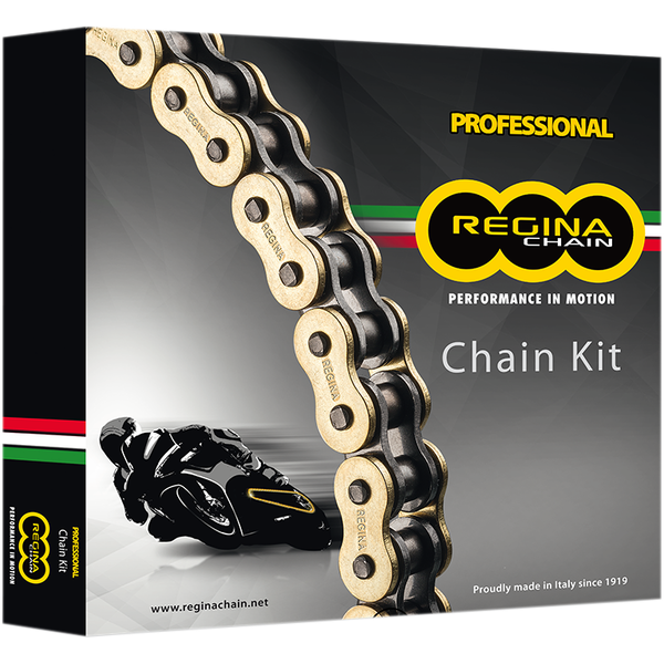 Chain & Sprocket Kit Regina 100/37/17