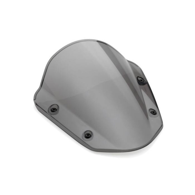 Headlight fairing RIZOMA (polycarbonate)